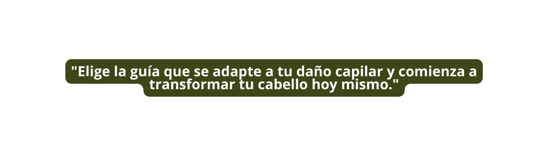 Elige la guía que se adapte a tu daño capilar y comienza a transformar tu cabello hoy mismo